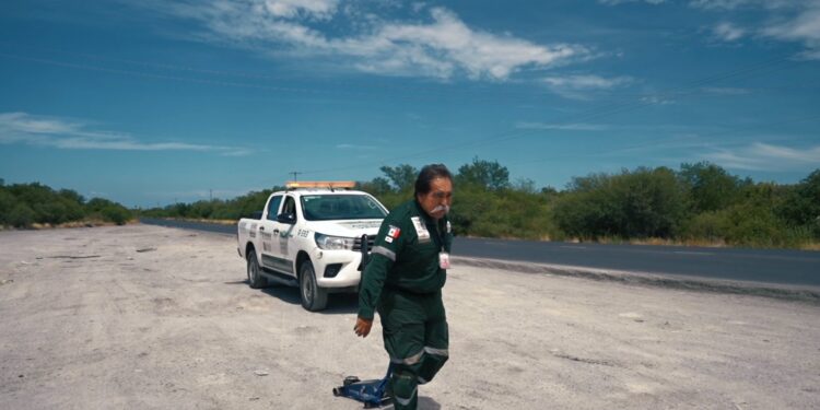 Brindan Ángeles Verdes 21 atenciones diarias en promedio en Tamaulipas