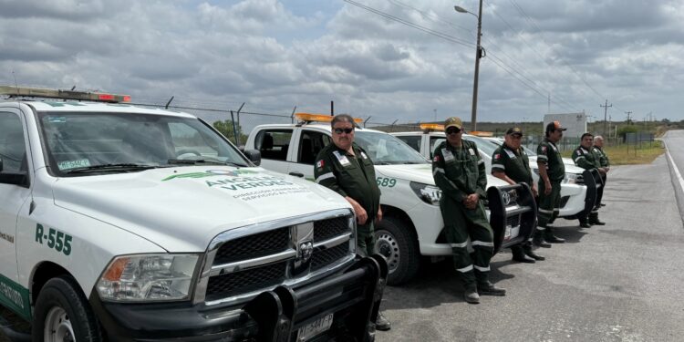 Brindan Ángeles Verdes 21 atenciones diarias en promedio en Tamaulipas