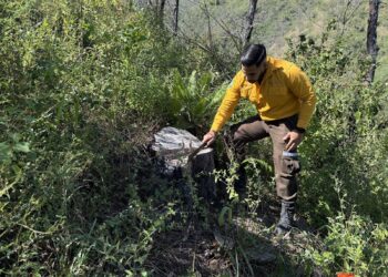 Fortalecen SEDUMA Y CONAFOR estrategia para preservar riqueza ambiental de  Tamaulipas