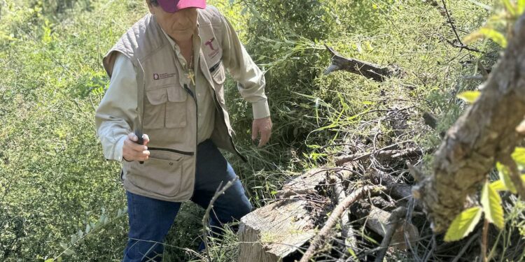 Fortalecen SEDUMA Y CONAFOR estrategia para preservar riqueza ambiental de Tamaulipas