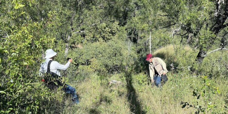 Fortalecen SEDUMA Y CONAFOR estrategia para preservar riqueza ambiental de Tamaulipas