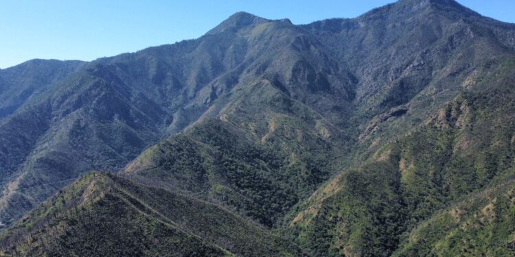 Fortalecen SEDUMA Y CONAFOR estrategia para preservar riqueza ambiental de Tamaulipas