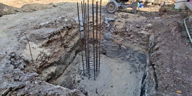 Nuevas estrategias productivas fortalecen la economía rural en Tamaulipas