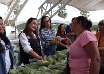 DIF Tamaulipas acerca alimentos saludables y a bajo costo a las familias de San Fernando