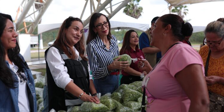 DIF Tamaulipas acerca alimentos saludables y a bajo costo a las familias de San Fernando
