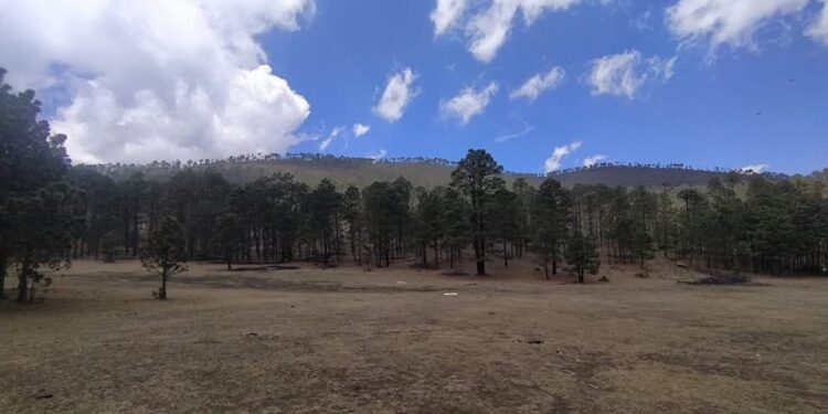 Prepara Tamaulipas dos paradores turísticos en Miquihuana y Palmillas