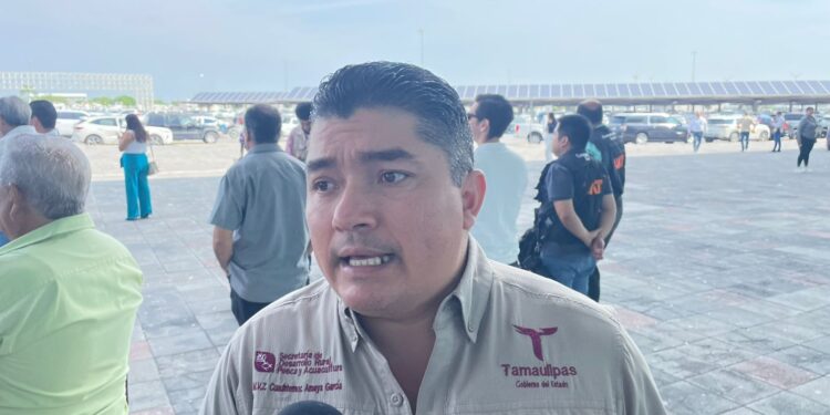 Apuesta Tamaulipas a la ganadería con inversión millonaria