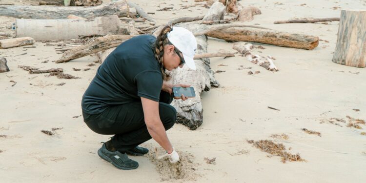 Impulsa turismo limpieza permanente de las playas