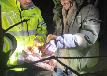 Refuerza Protección Civil Tamaulipas acciones preventivas y operativas durante la temporada navideña