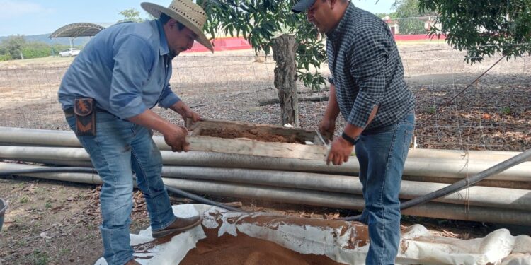 Promueven producción y uso de lixiviados en Xicoténcatl