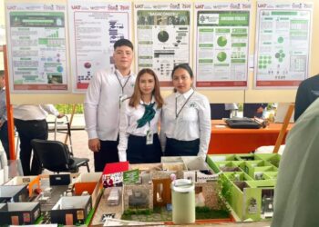 Innovación UAT: Crean panel de bagazo de caña para construcción