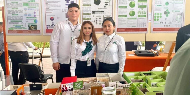 Innovación UAT: Crean panel de bagazo de caña para construcción