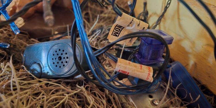 Emite SST recomendaciones preventivas para evitar accidentes