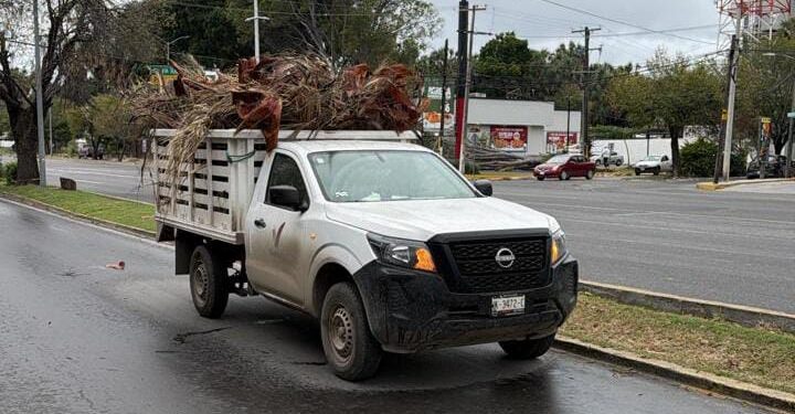Atiende Municipio reportes ciudadanos por afectaciones de vendaval