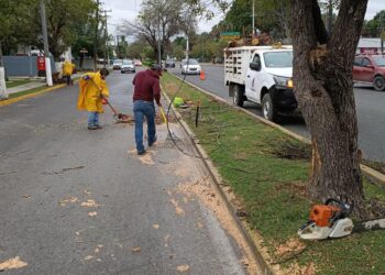 Atiende Municipio reportes ciudadanos por afectaciones de vendaval