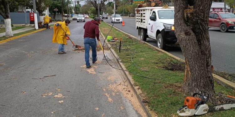 Atiende Municipio reportes ciudadanos por afectaciones de vendaval