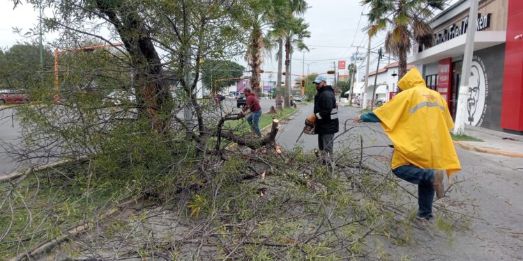 Atiende Municipio reportes ciudadanos por afectaciones de vendaval