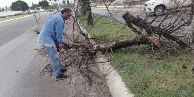 Atiende Municipio reportes ciudadanos por afectaciones de vendaval