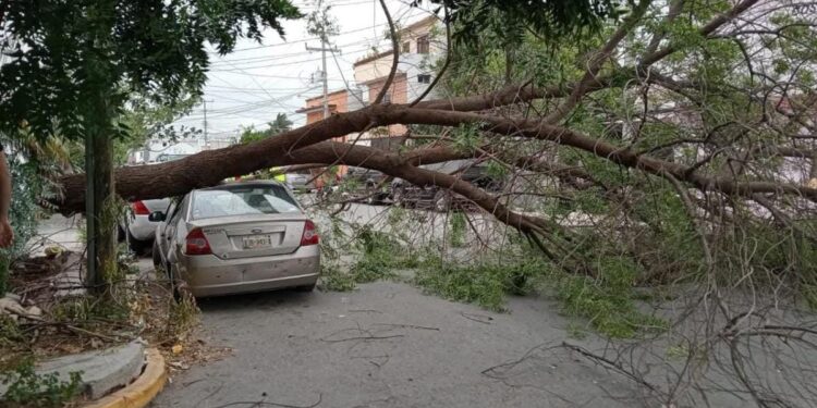 Atiende Municipio reportes ciudadanos por afectaciones de vendaval