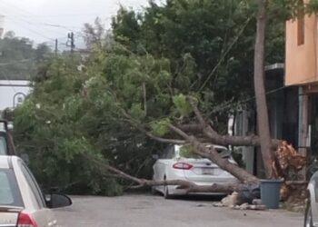 Atiende Municipio reportes ciudadanos por afectaciones de vendaval
