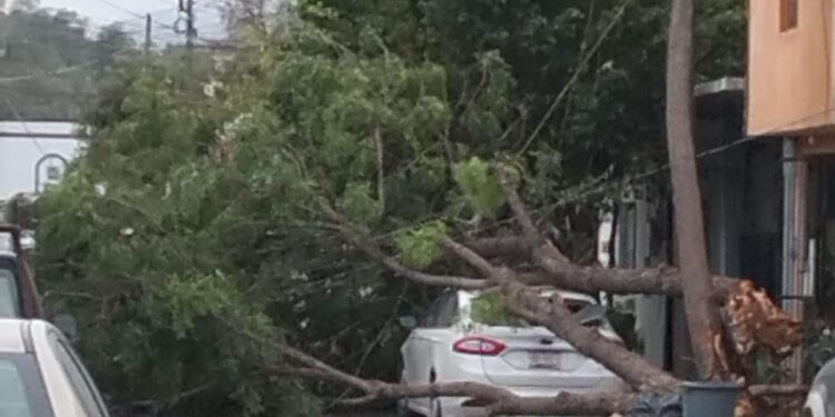 Atiende Municipio reportes ciudadanos por afectaciones de vendaval