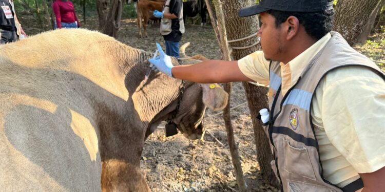 Acción inmediata y coordinación interinstitucional ante caso de GBG en Tamaulipas