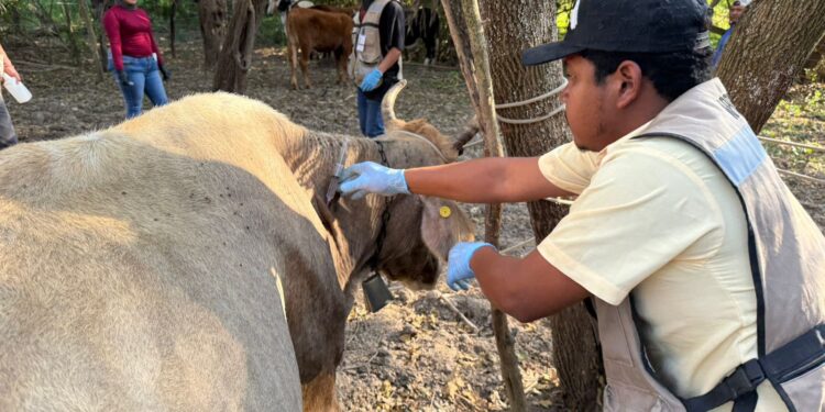 Acción inmediata y coordinación interinstitucional ante caso de GBG en Tamaulipas
