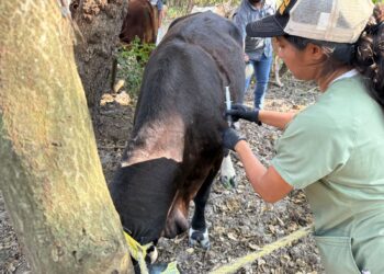 Acción inmediata y coordinación interinstitucional ante caso de GBG en Tamaulipas