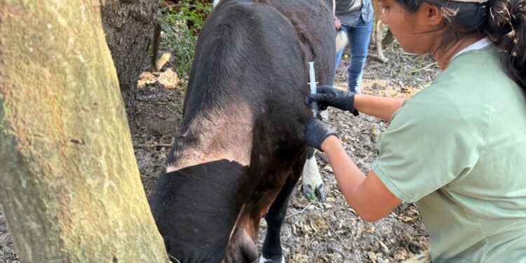 Acción inmediata y coordinación interinstitucional ante caso de GBG en Tamaulipas