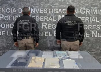Desarticulan red de fraude al IMSS en Monterrey: FGR asegura despacho con documentos falsos