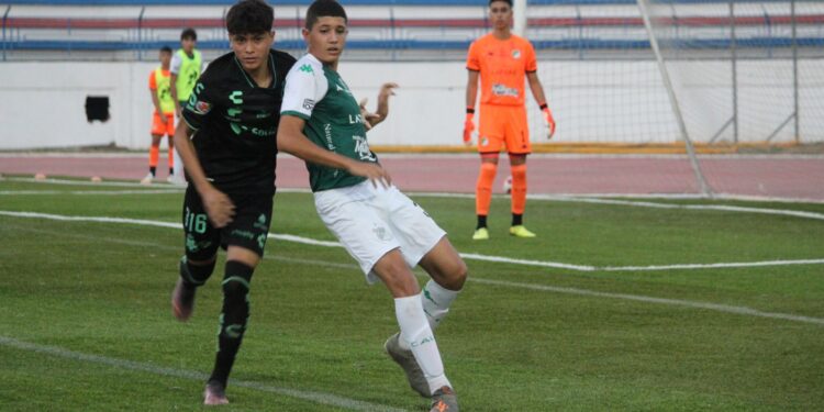 Inicia INDE Tamaulipas con etapas estatales rumbo a la Olimpiada Nacional 2026