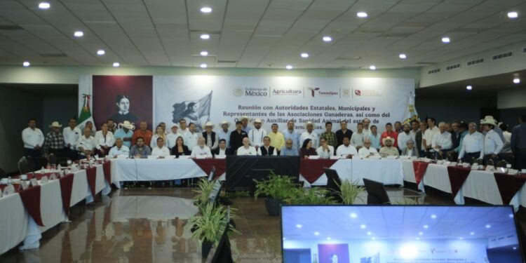 Tamaulipas refuerza acciones contra el gusano barrenador; no se cerrará comercialización del ganado: Berdegué Sacristán