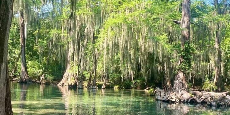 Tamaulipas va por el golazo turístico con Rutas del Aficionado al Fútbol: Sectur
