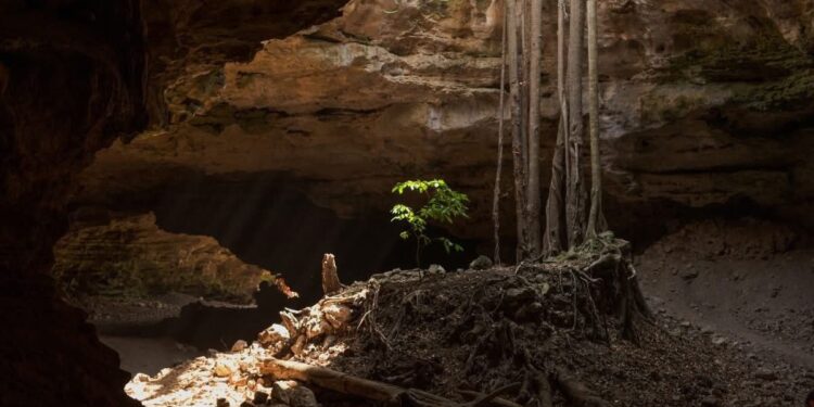 Tamaulipas va por el golazo turístico con Rutas del Aficionado al Fútbol: Sectur