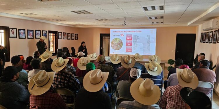 Sensibilización forestal, clave para mitigar sequías y altas temperaturas en Tamaulipas