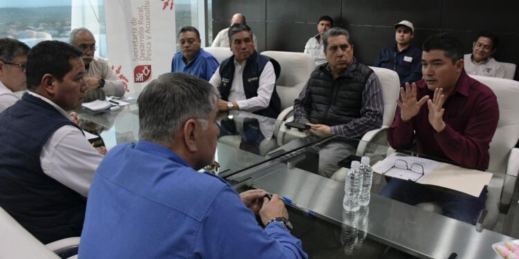 Activan en Tamaulipas plan de acción integral para proteger la sanidad pecuaria