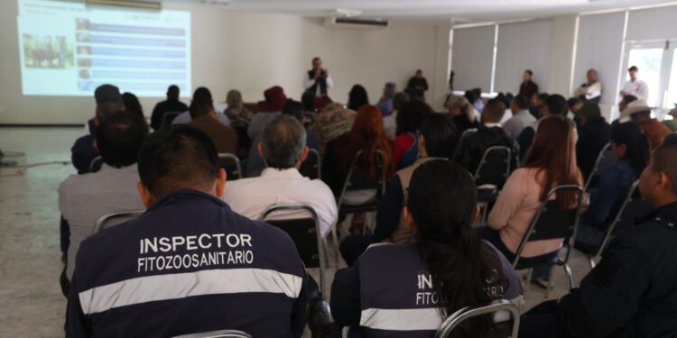 Capacitación permanente, clave para prevenir el GBG en Tamaulipas