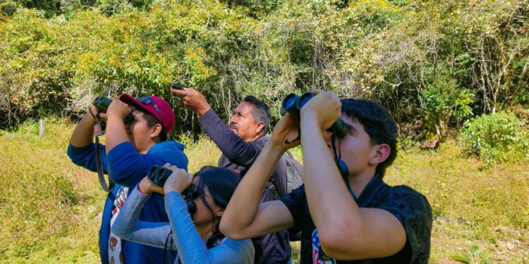 Avanza el turismo social en Tamaulipas: Benjamín Hernández