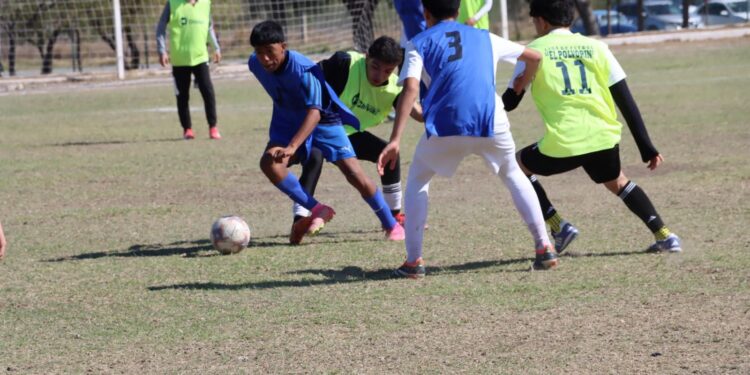 Inicia INDE procesos estatales rumbo a la Olimpiada Nacional 2026