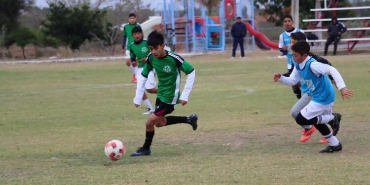 Inicia INDE procesos estatales rumbo a la Olimpiada Nacional 2026