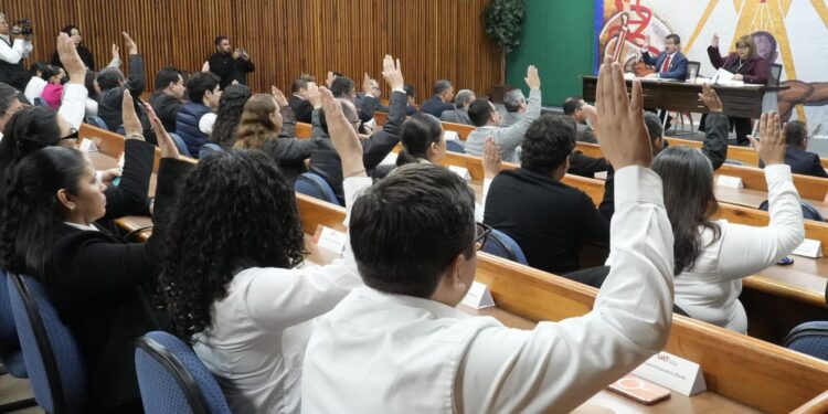 Suma la UAT nuevas carreras y posgrados a su oferta educativa