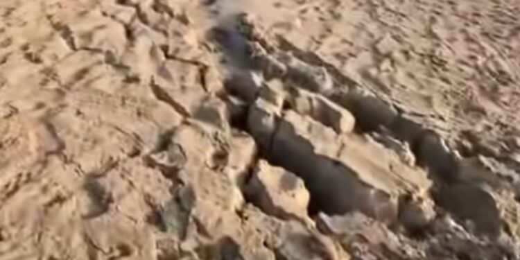 Sismo en CDMX: Hospital La Raza afectado y 12 heridos tras el temblor de este 2 de enero