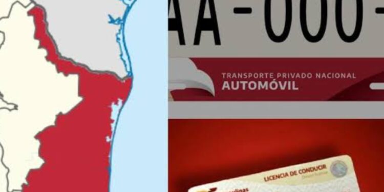Licencia permanente en Tamaulipas: no desaparece, solo se actualiza cada 5 años