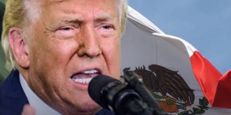 ​Trump advierte ataques terrestres contra cárteles en México