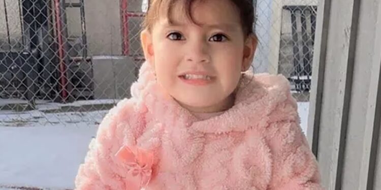 Drama en Minnesota: Agentes de ICE desafían a un juez y trasladan a Texas a una bebé de dos años