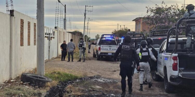 El informe oficial de la masacre en campo de fútbol de Salamanca confirma que fue choque entre cárteles