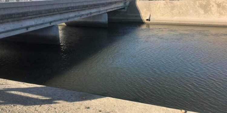 Justicia para Lupita: joven fallece tras accidente en razer