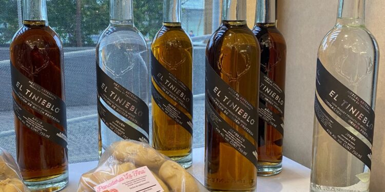 Jiménez ya está en Punto Tamaulipas, visítalo y conoce su esencia: Turismo