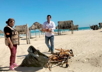 Refuerzan conciencia ambiental con limpieza de playas y humedales de Tamaulipas