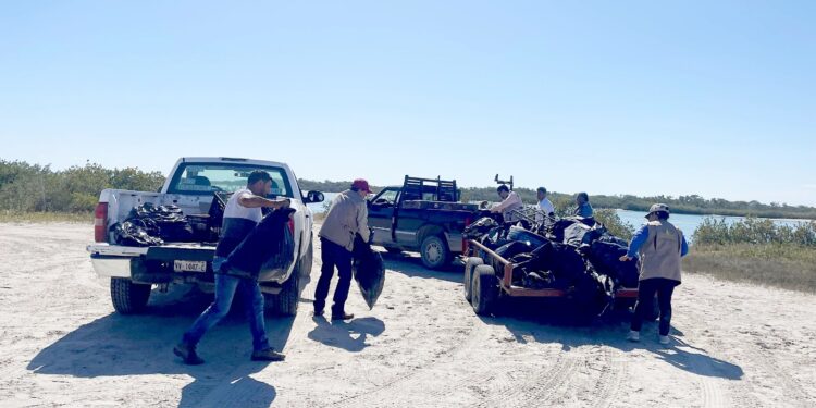 Refuerzan conciencia ambiental con limpieza de playas y humedales de Tamaulipas